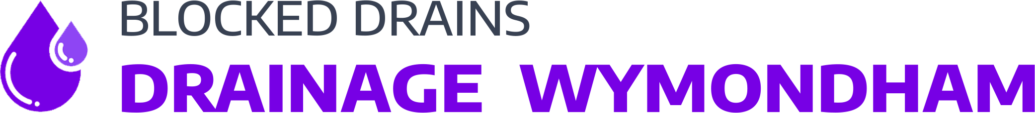 website logo